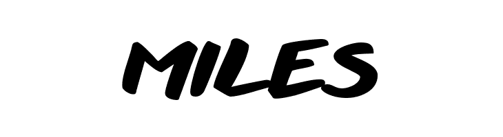 Another shabby Heavy  Free Fonts Download