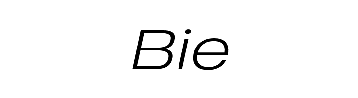 Heading Pro Wide Trial Light Italic  Free Fonts Download