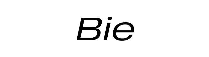 Heading Pro Wide Trial Book Italic  Free Fonts Download