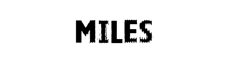 VTKS BRIGHT  Free Fonts Download