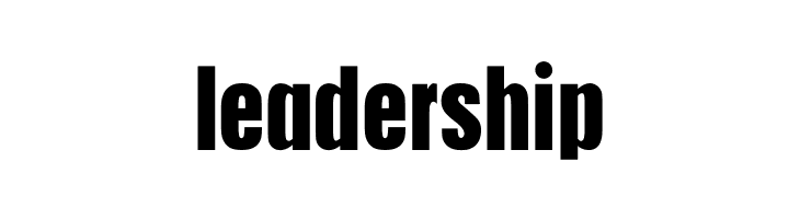 DS Holzschrift  Free Fonts Download