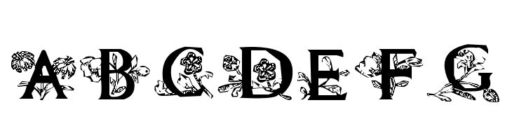 Flowers Initials  Free Fonts Download