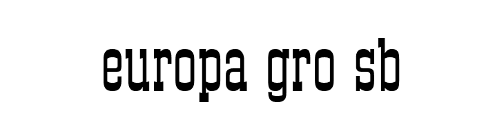 DS Roundup  Free Fonts Download