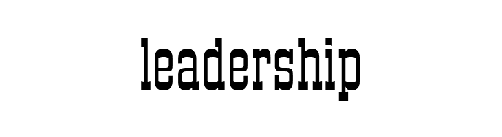 DS Roundup  Free Fonts Download