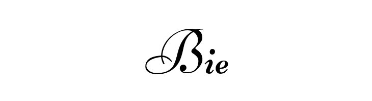 Lucien Schoenschriftv CAT  Free Fonts Download