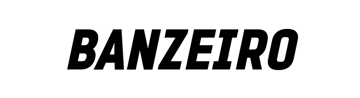 PROMINDER Italic  Free Fonts Download