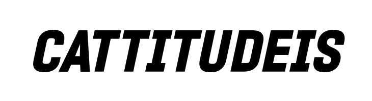 PROMINDER Italic  Free Fonts Download