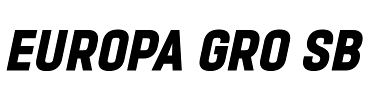 PROMINDER Italic  Free Fonts Download