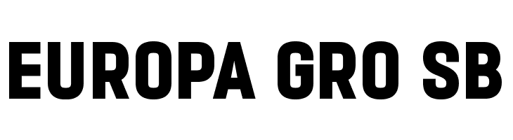 PROMINDER  Free Fonts Download