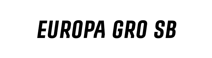 PROMOVA Italic  Free Fonts Download