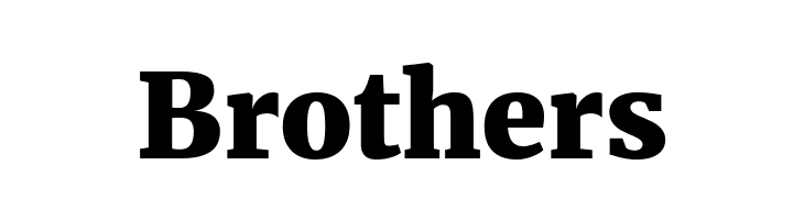 Merriweather UltraBold  Free Fonts Download