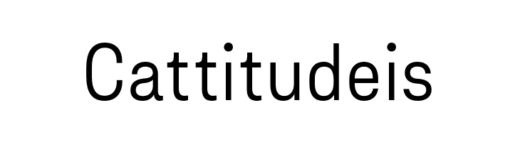 AsketNarrow-Light  Free Fonts Download