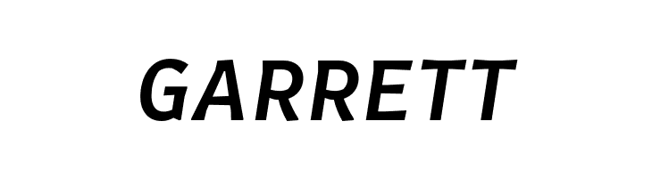 CertaSans-MediumItalic  Free Fonts Download