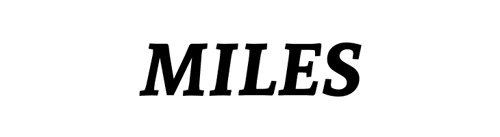 Andada Bold Italic  Free Fonts Download