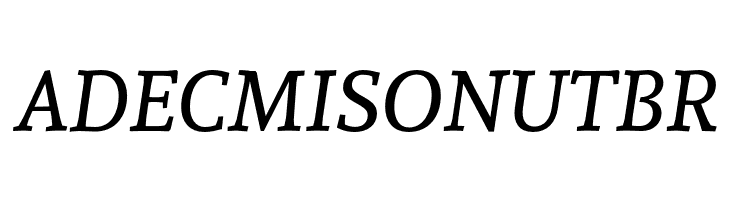 Andada Italic  Free Fonts Download