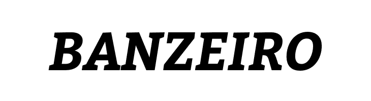 Bitter Bold Italic  Free Fonts Download