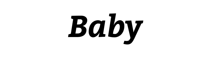 Bitter Bold Italic  Free Fonts Download