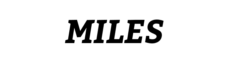 Bitter Bold Italic  Free Fonts Download