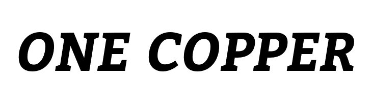 Bitter Bold Italic  Free Fonts Download