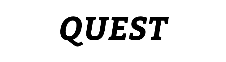 Bitter Bold Italic  Free Fonts Download