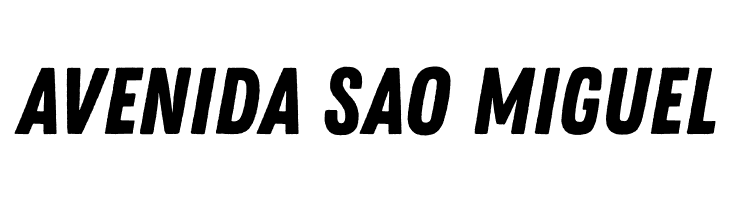 Zing Rust Demo Base  Free Fonts Download