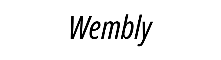 Noto Sans ExtraCondensed Italic  Free Fonts Download