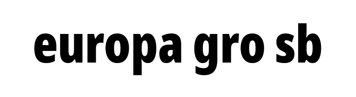 Noto Sans ExtraCondensed Black  Free Fonts Download