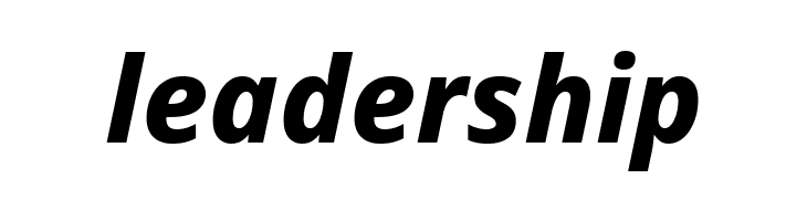 Noto Sans ExtraBold Italic  Free Fonts Download