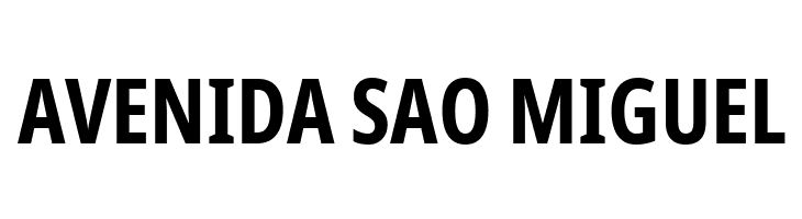 Noto Sans ExtraCondensed Bold  Free Fonts Download