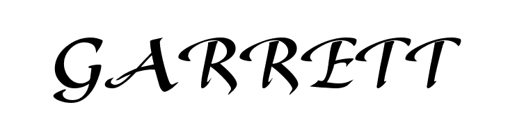 Gaze Bold  Free Fonts Download