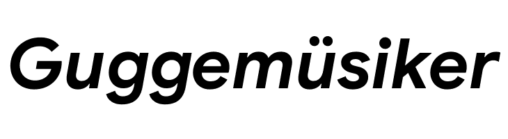 Google Sans Bold Italic  Free Fonts Download