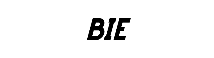 HANDA Bold Italic  Free Fonts Download