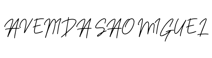 Sansitype Script  Free Fonts Download