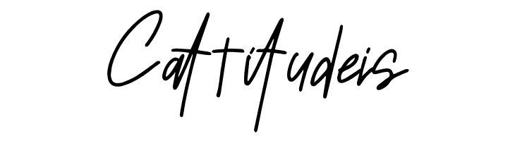 Sansitype Script  Free Fonts Download