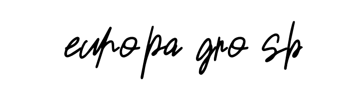 Sansitype Script  Free Fonts Download