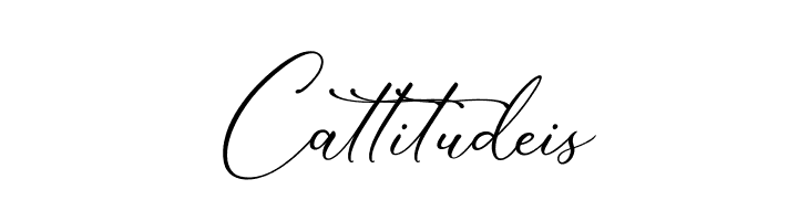 Marvelous Script Demo  Free Fonts Download