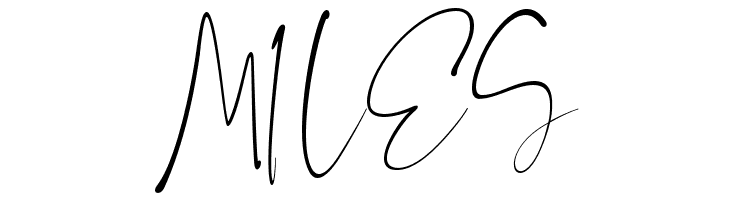 The Brittany Script  Free Fonts Download