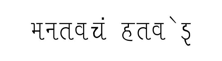 Liza Thin  Free Fonts Download