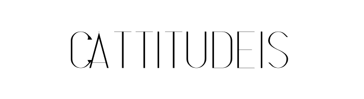 S-PHANITH_FTHIN  Free Fonts Download