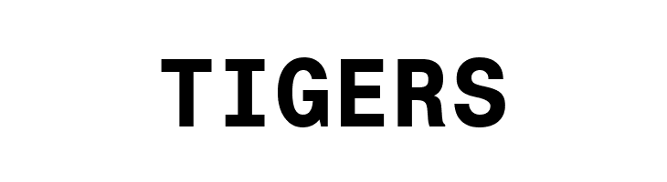 Monospace 821 Bold BT  Free Fonts Download