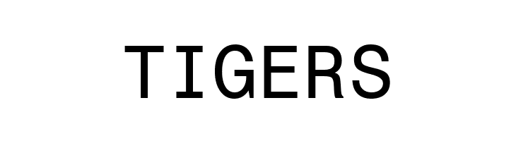 Monospace 821 BT  Free Fonts Download