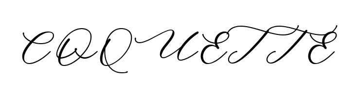 Minimalist Script  Free Fonts Download