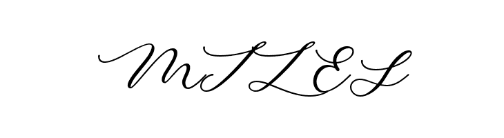 Minimalist Script  Free Fonts Download