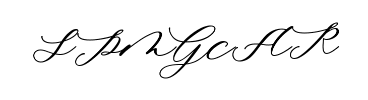 Minimalist Script  Free Fonts Download