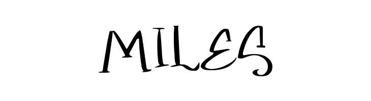 Setter light Italic Demo  Free Fonts Download