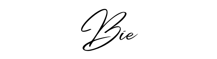 Andasia  Free Fonts Download
