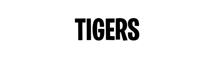 BurbankBigCondensed-Bold  Free Fonts Download