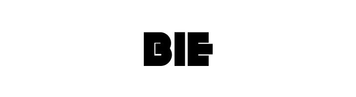 Anagram NF  Free Fonts Download