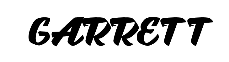 Brotha Script  Free Fonts Download