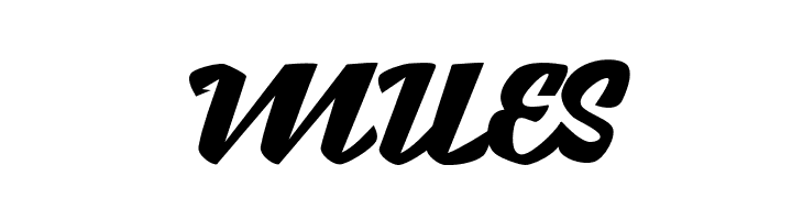 Brotha Script  Free Fonts Download